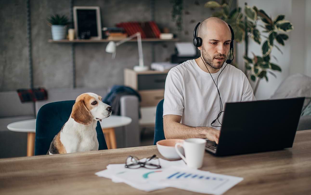 You got: Well-suited! Should I Work from Home? This Quiz Reveals If You Are Suited for Remote Work