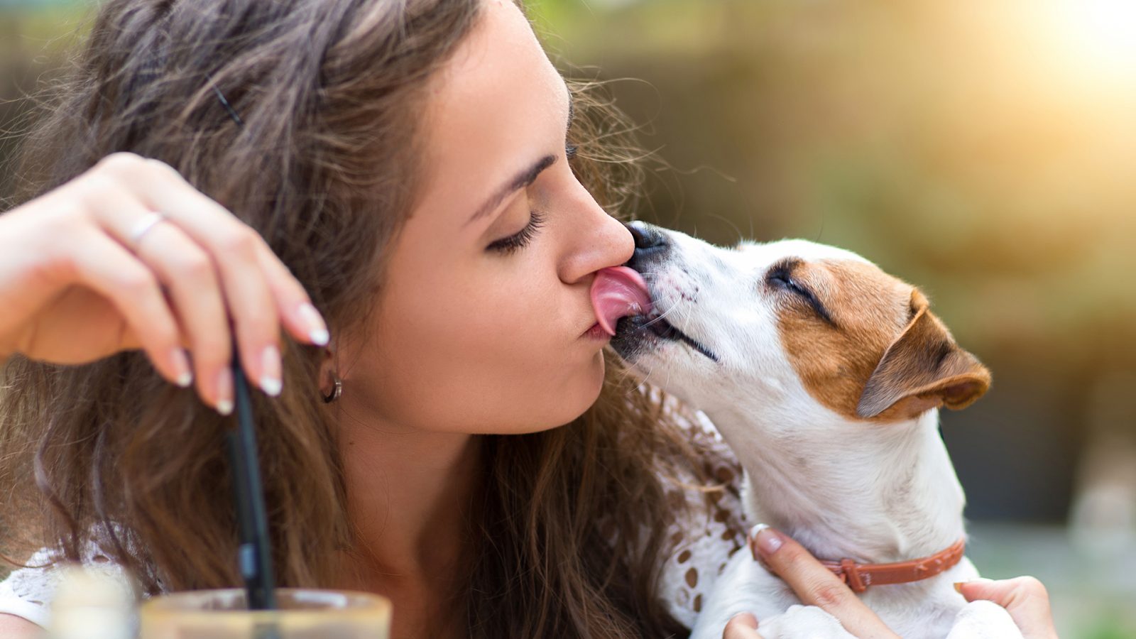 You got: A dog! Wanna Know Who You’d Be Happiest Living With? Take This Quiz to Find Out