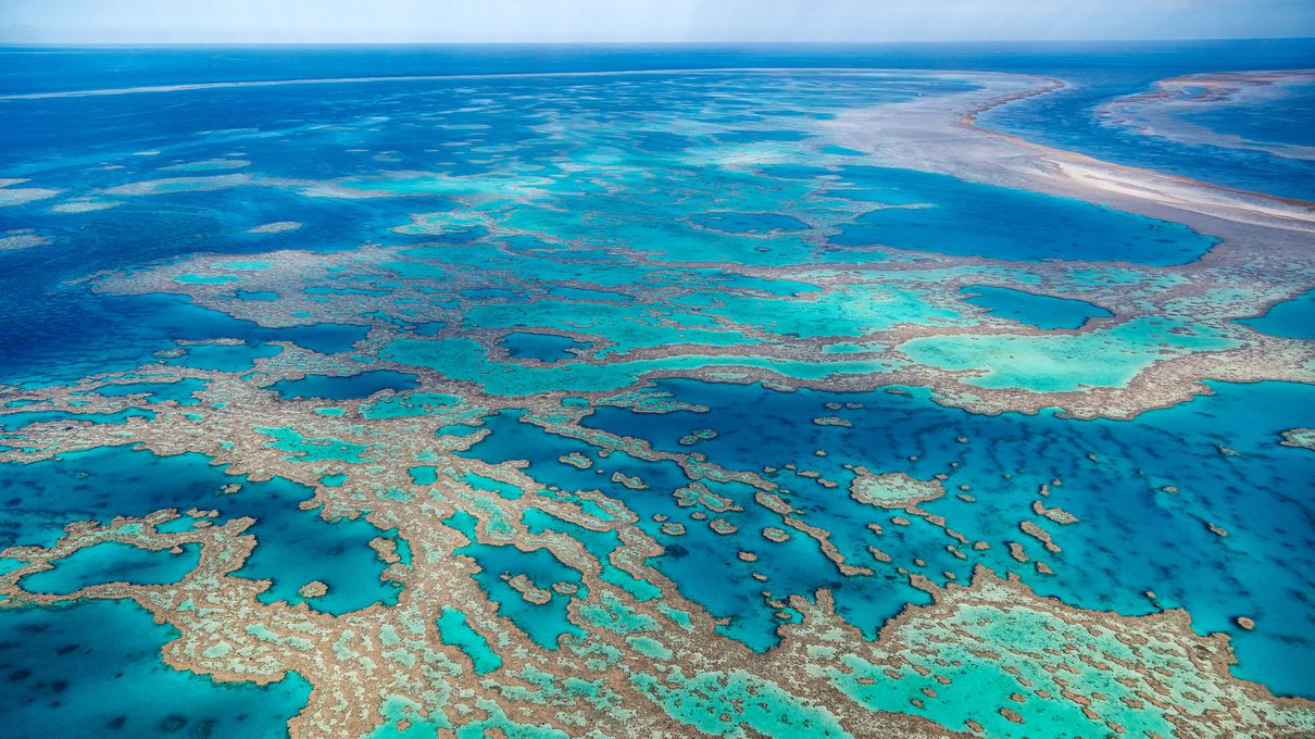 Create a Travel Bucket List ✈️ to Determine What Fantasy World You Are Most Suited for Great Barrier Reef, Australia