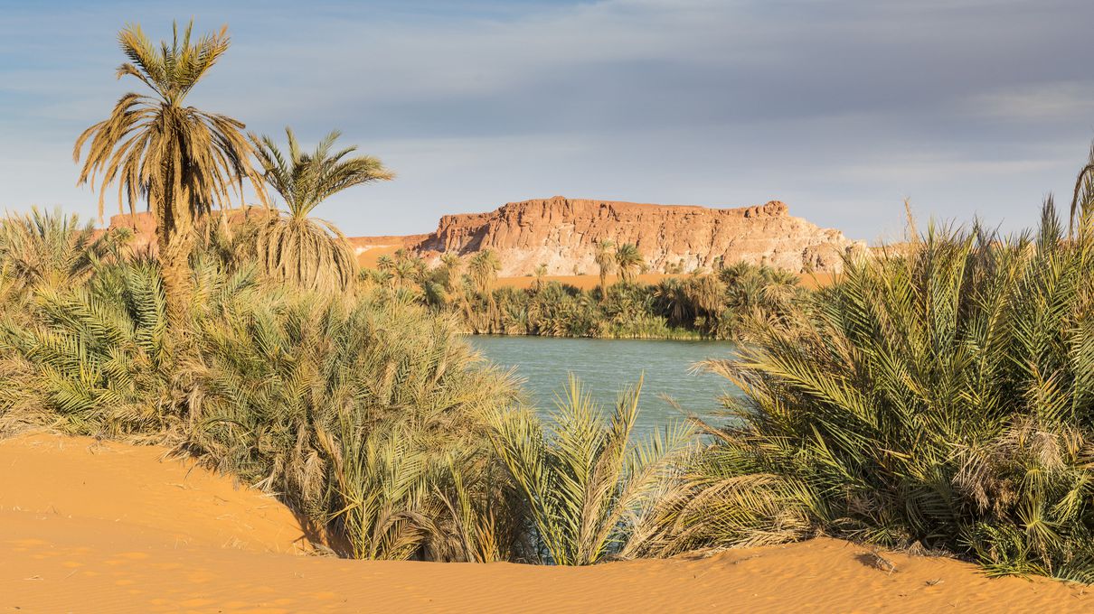 ✈️ Travel the World from “A” to “Z” to Find Out the 🌴 Underrated Country You’re Destined to Visit Chad
