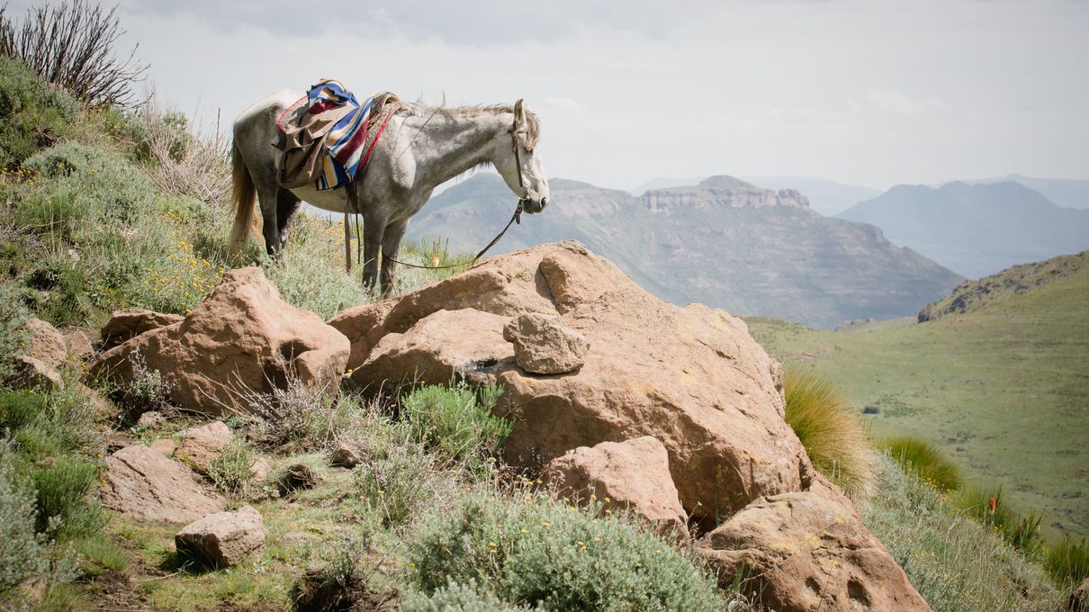 Make an “A to Z” Travel Bucket List and We’ll Guess Your Age With Surprising Accuracy Lesotho