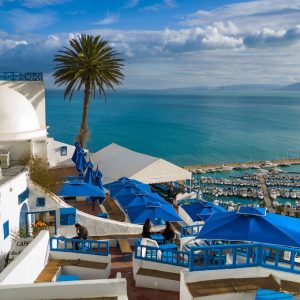 Pick a Bunch of Countries You’d Love to Visit and I’ll Describe Your Personality in One Word Tunisia