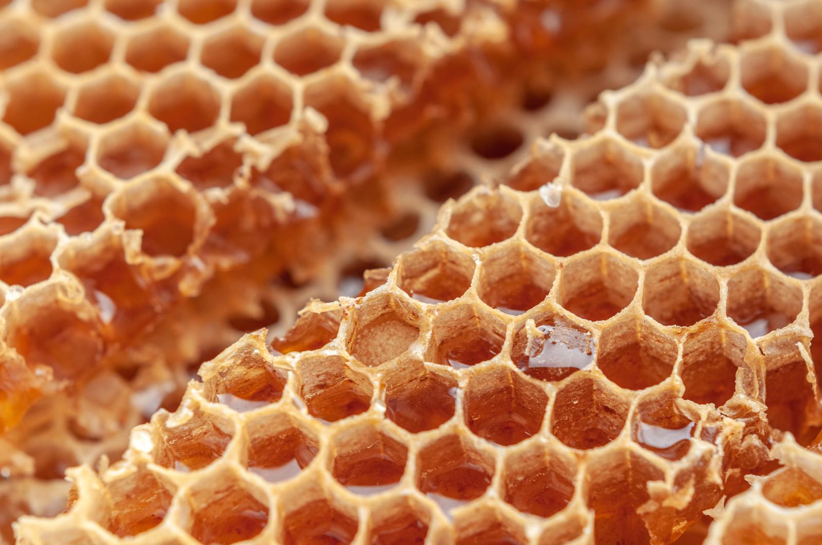 If You Want to Know the Historical Era You Belong In, Eat Some Foods from A to Z to Find Out Honey comb