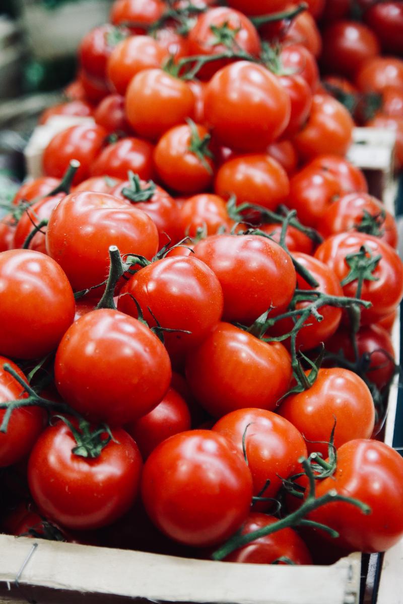 Fruit Trivia Quiz Tomatoes