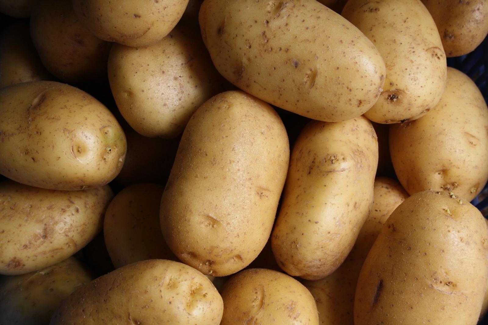 World Pasta Day Quiz Potatoes