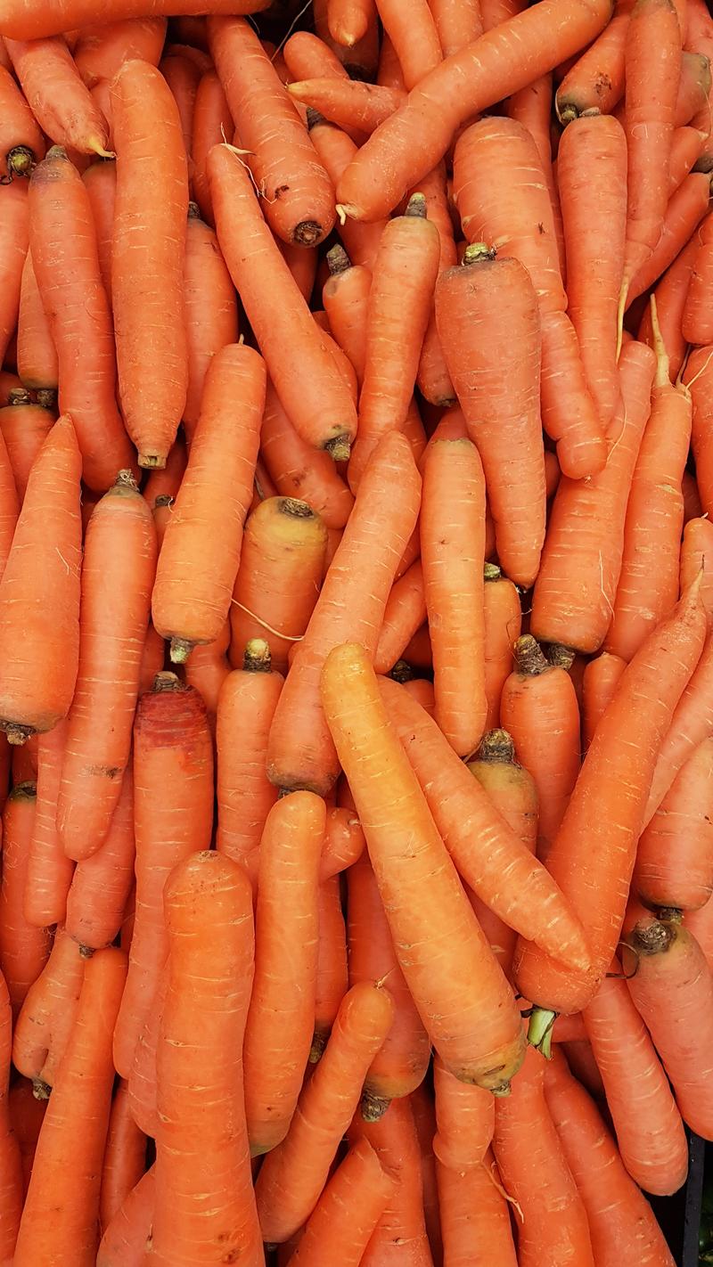 It’ll Be Hard, But Choose Between These Foods and We’ll Know What Mood You’re in Carrot