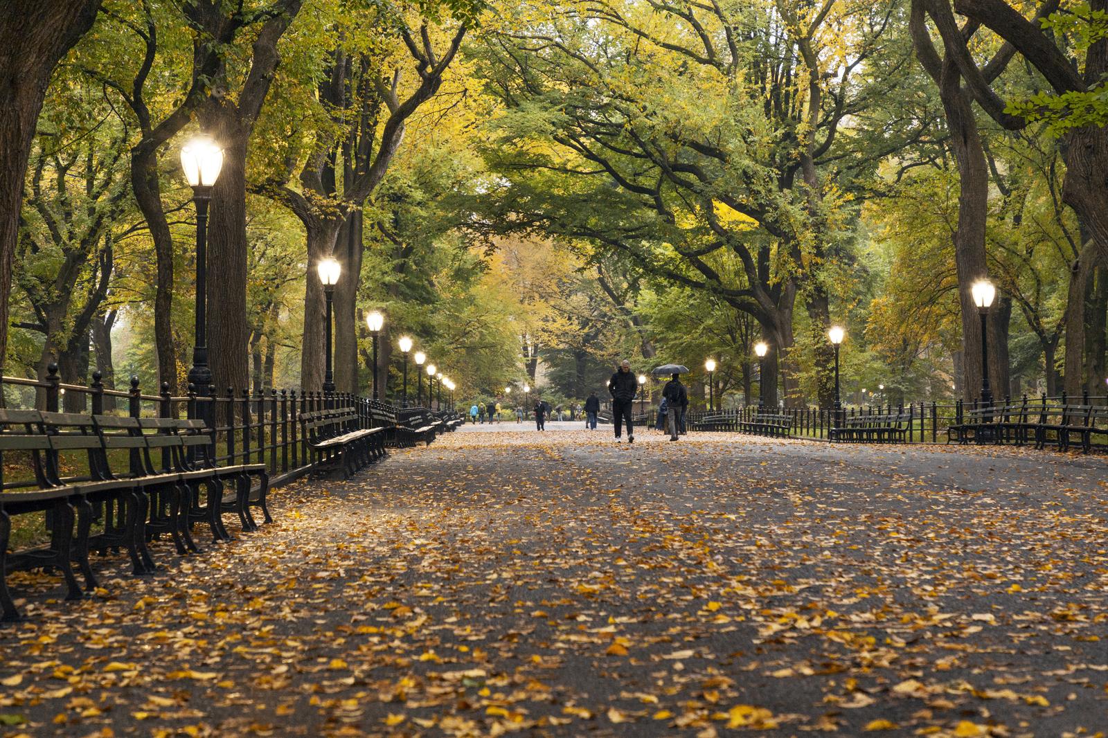 Take a Trip to New York City to Find Out Where You’ll Meet Your Soulmate Walk in Central Park
