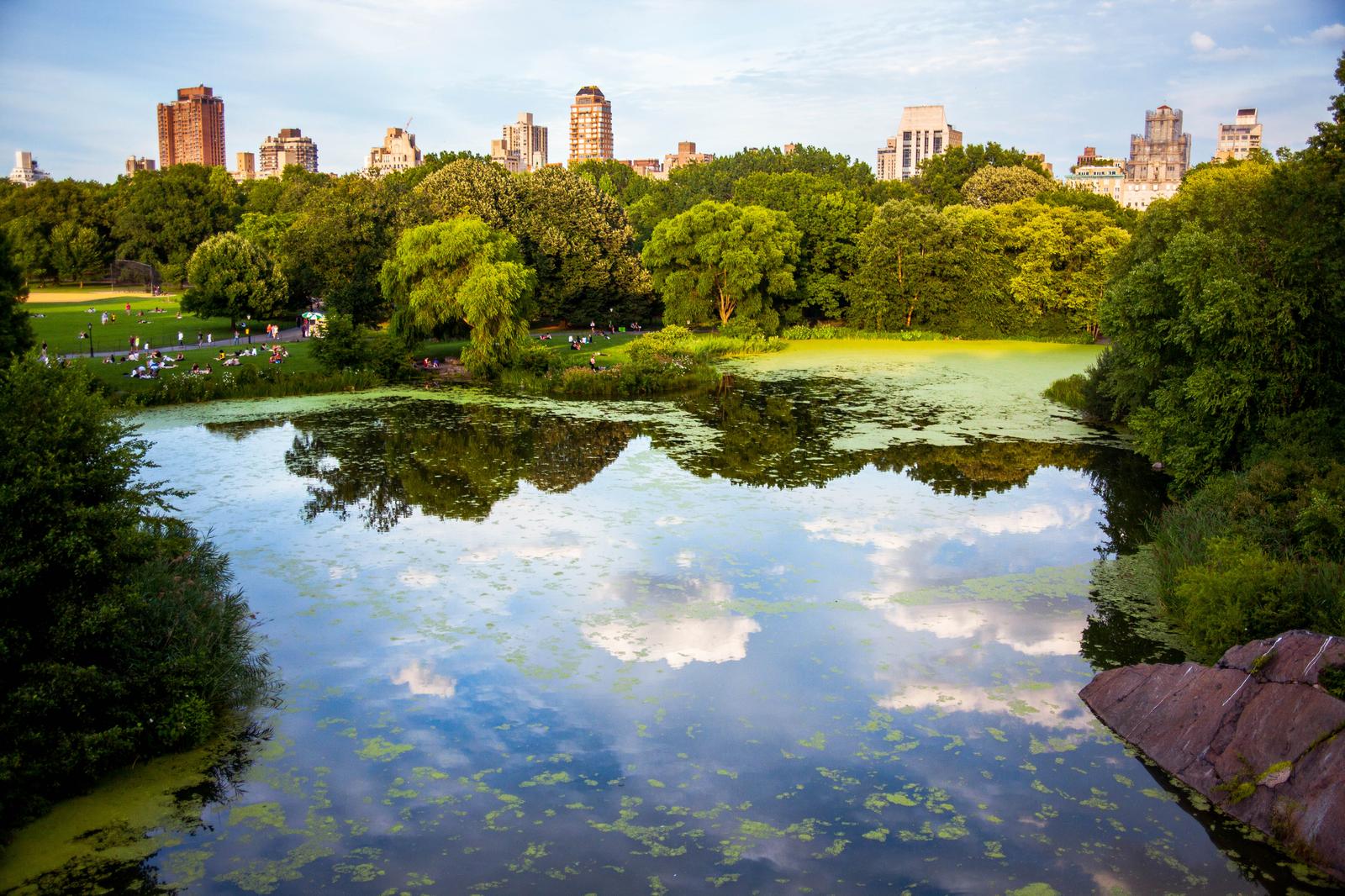 Take a Trip to New York City to Find Out Where You’ll Meet Your Soulmate Central Park