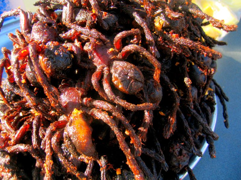 It’s Easy to Tell If You’re More American, British or Australian Just by Your Eating Habits Fried tarantulas