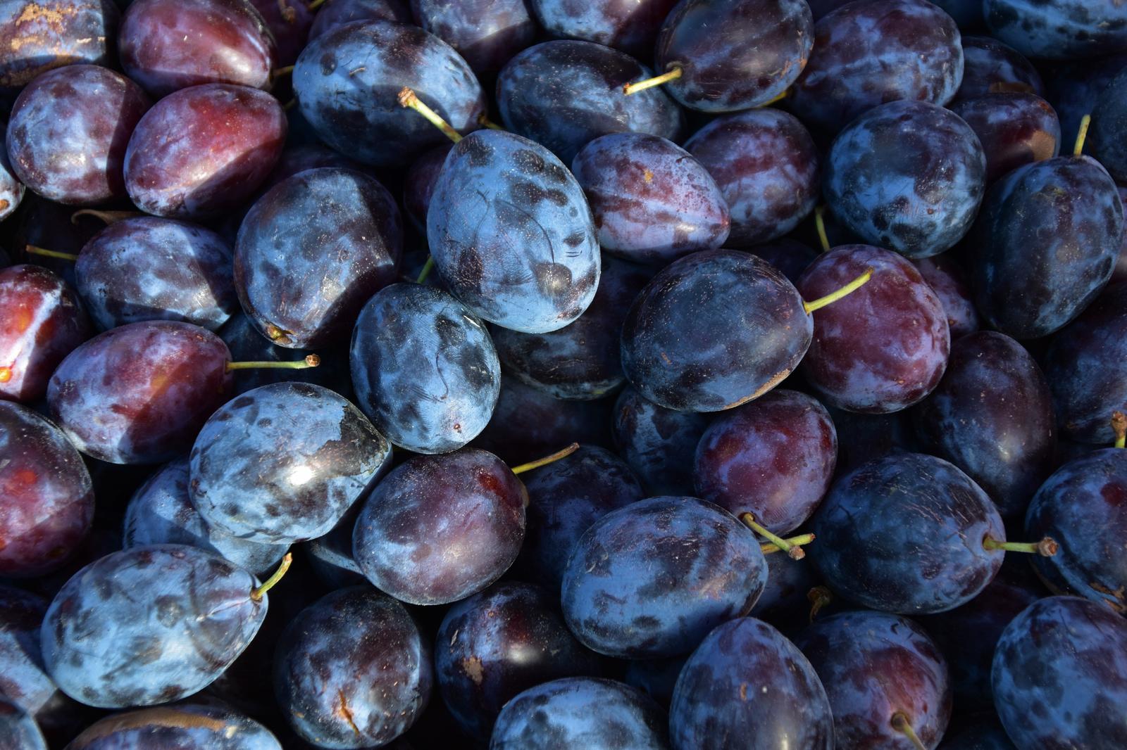 Blue Food Personality Quiz Plums