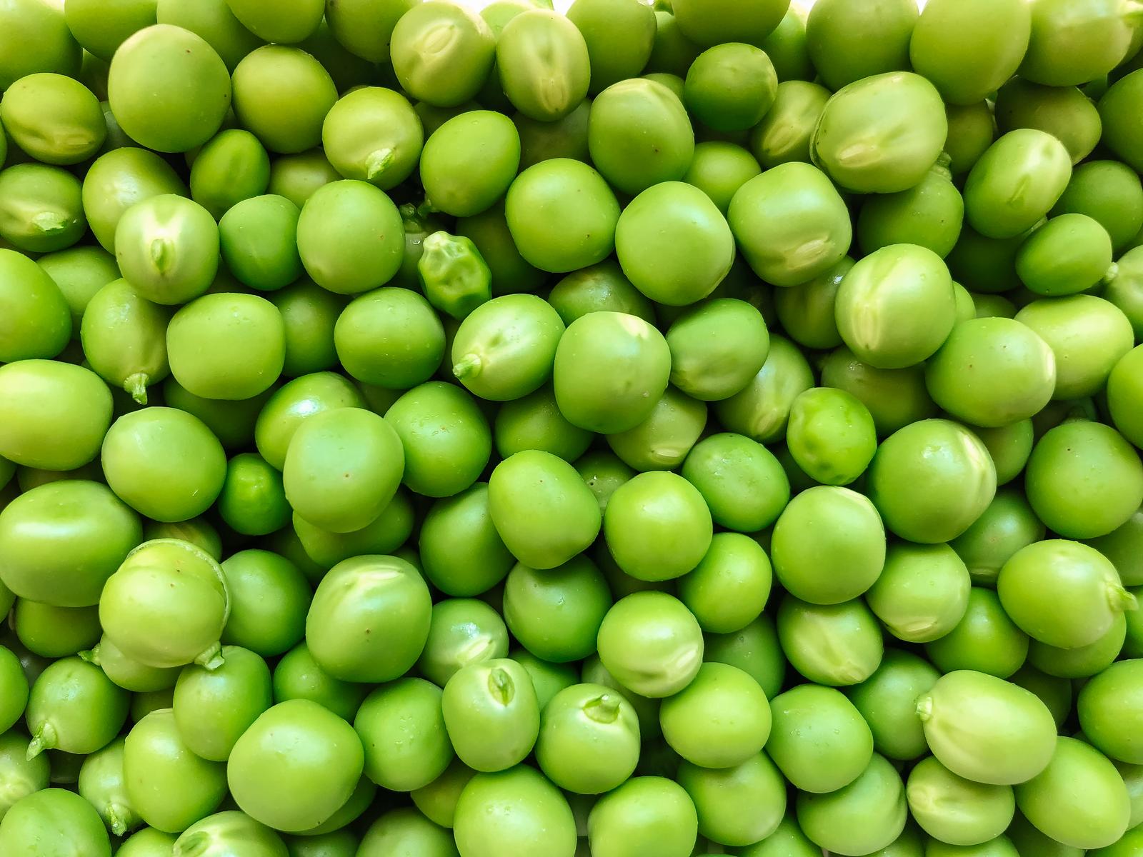 All-Rounded Knowledge Test Peas