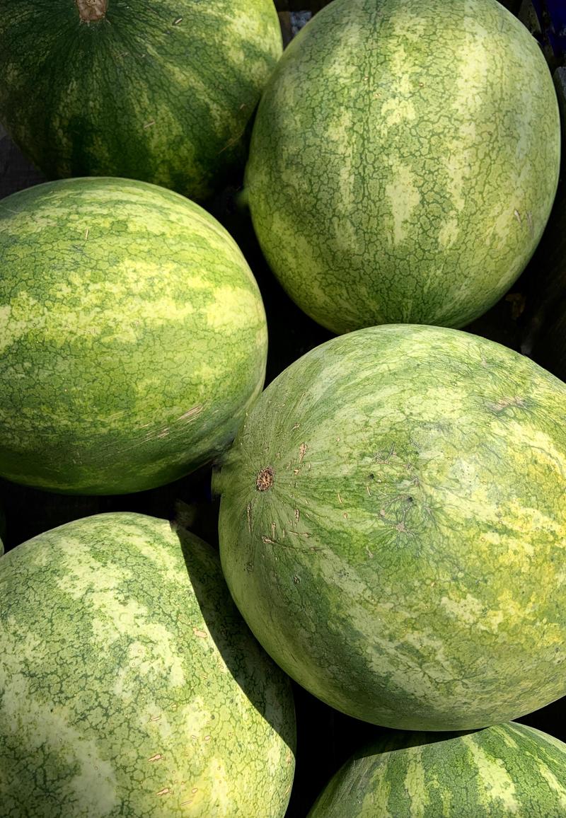 Guess The Animated Movie Titles Quiz Melon