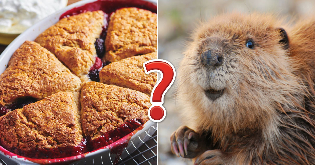 Unfortunately, Only 8% Of People Can Pass This General Knowledge Quiz — Let's Hope You're 1 of 'Em