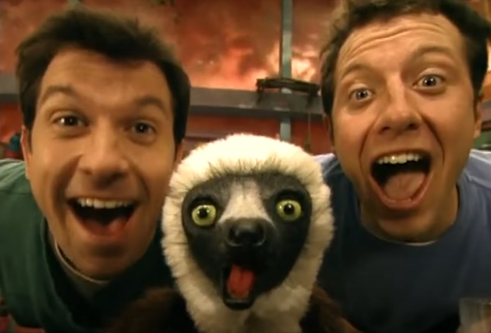 Pick 📺 TV Shows from A-Z and We’ll Accurately Guess If You’re an Optimist or a Pessimist Zoboomafoo