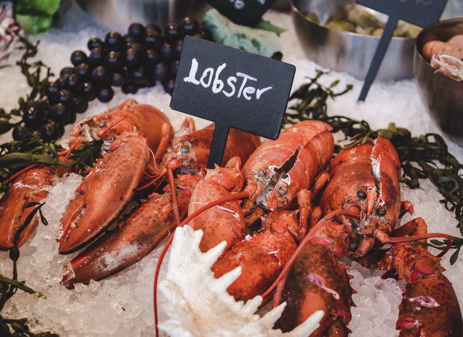 Fall-colored Food Quiz Lobster