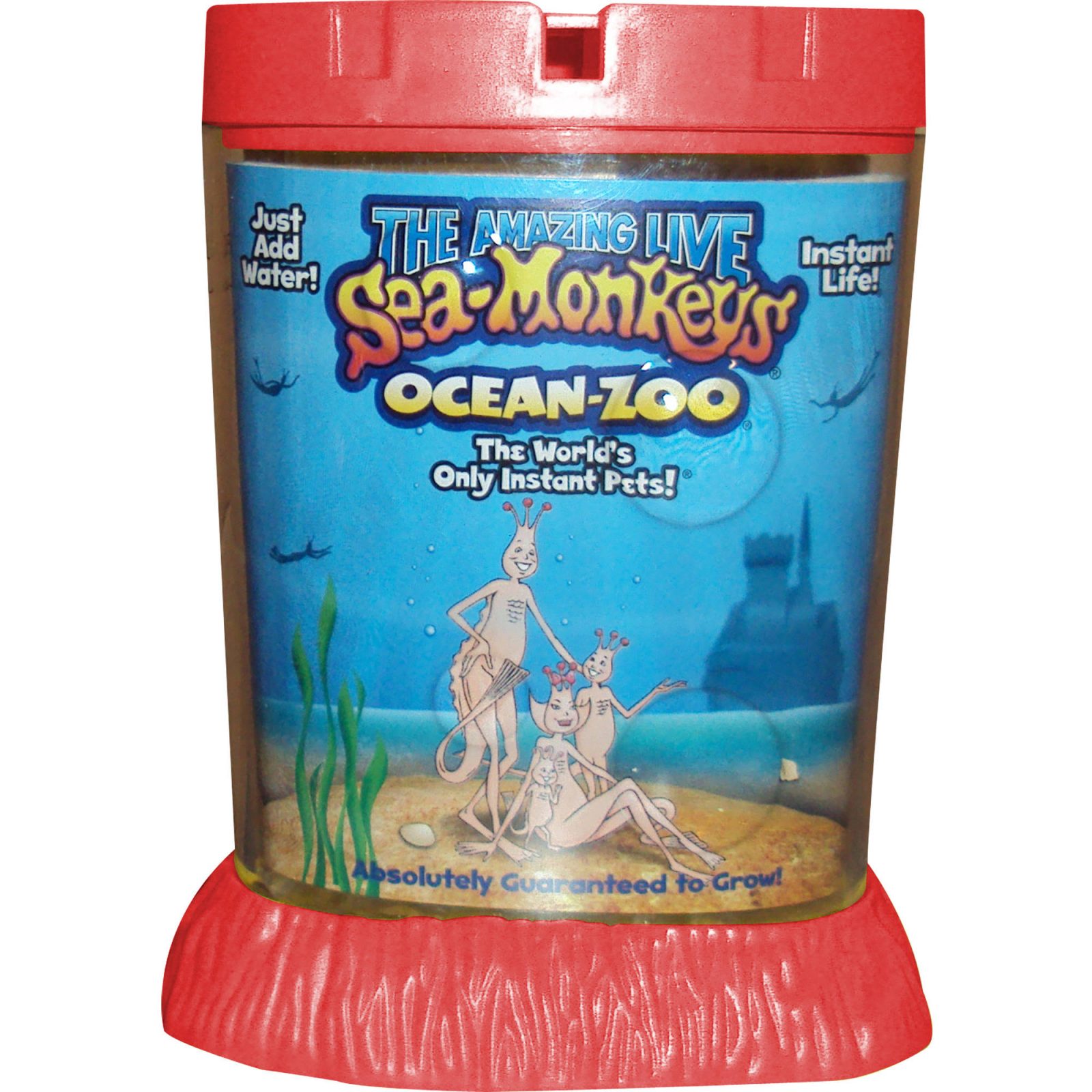 Decide Which Retro Fads You'll Bring Back & I'll Guess … Quiz Purchasing Sea-Monkeys via mail