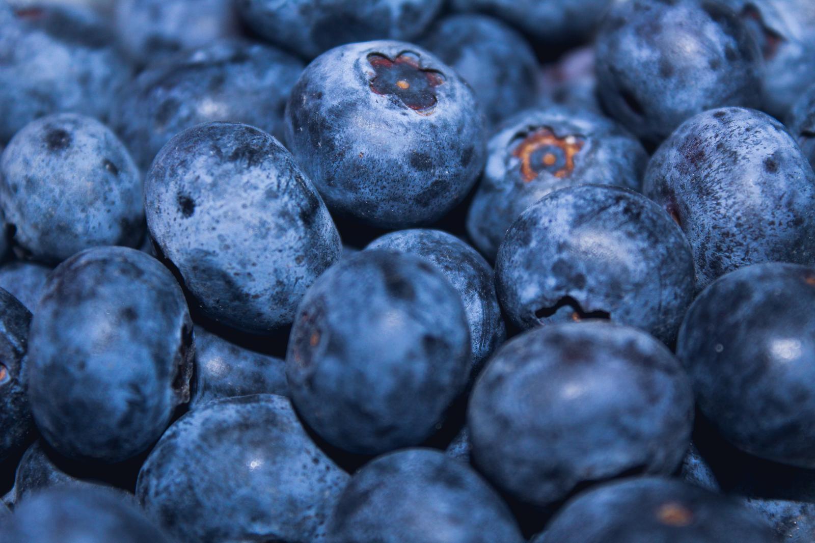 Food Element Quiz Blueberries