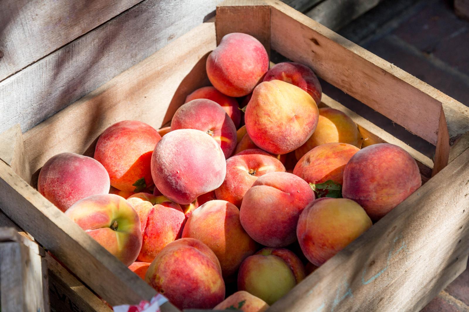 Fall-colored Food Quiz Peach