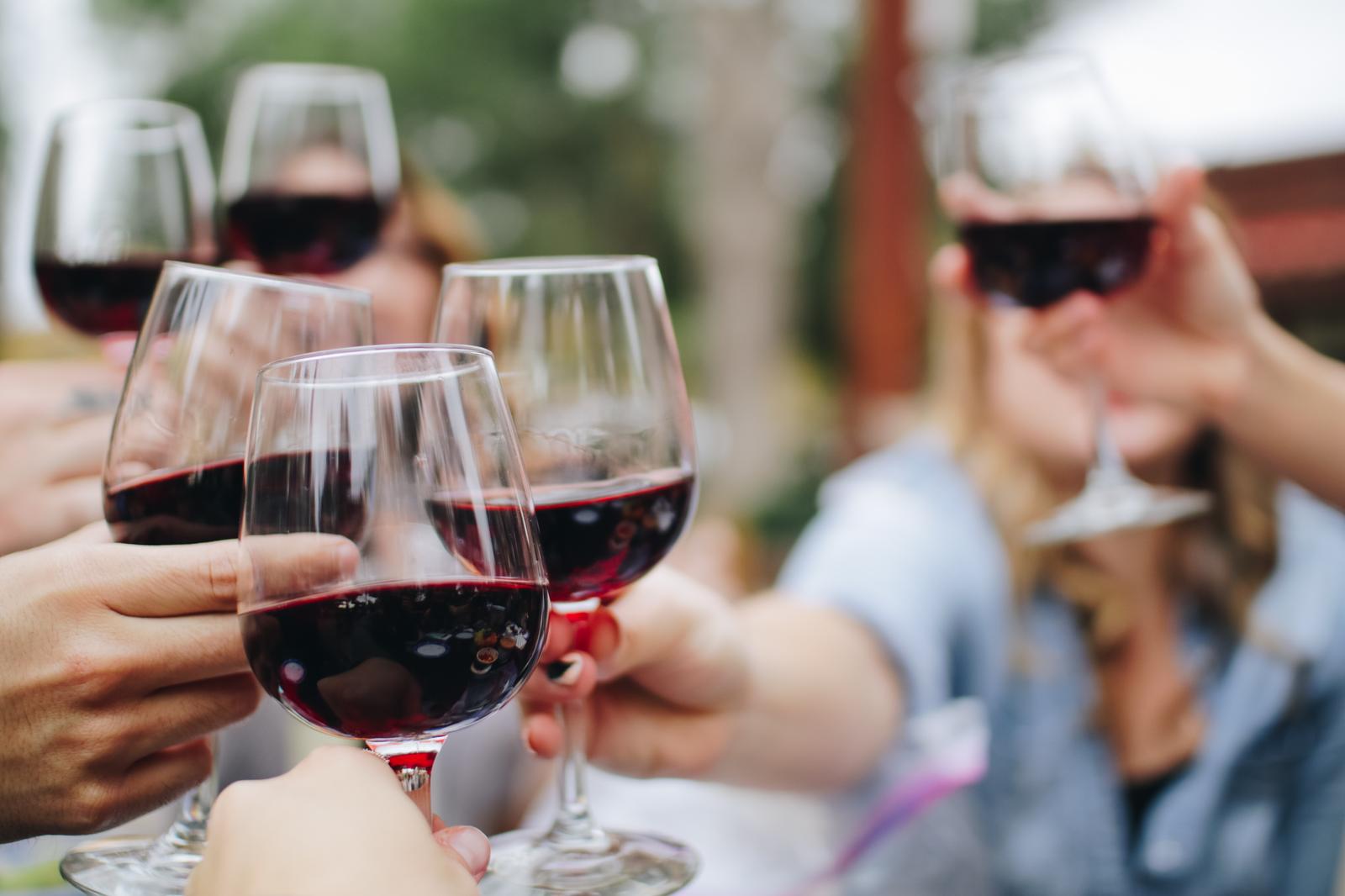 Plan a Trip to Canada and We’ll Reveal Which Dog Breed Suits You the Best Wine tasting
