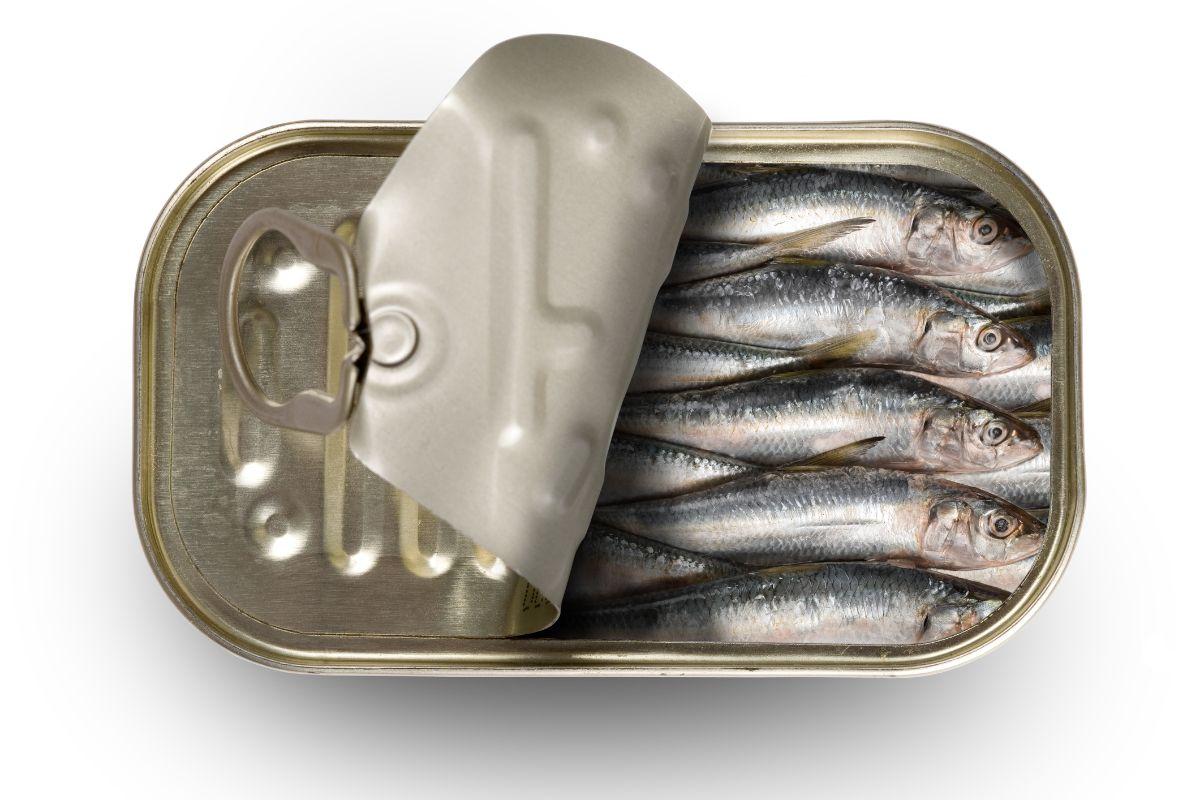Create Gross Pizza To Know Which Gen Z Word You Are Quiz Canned sardines