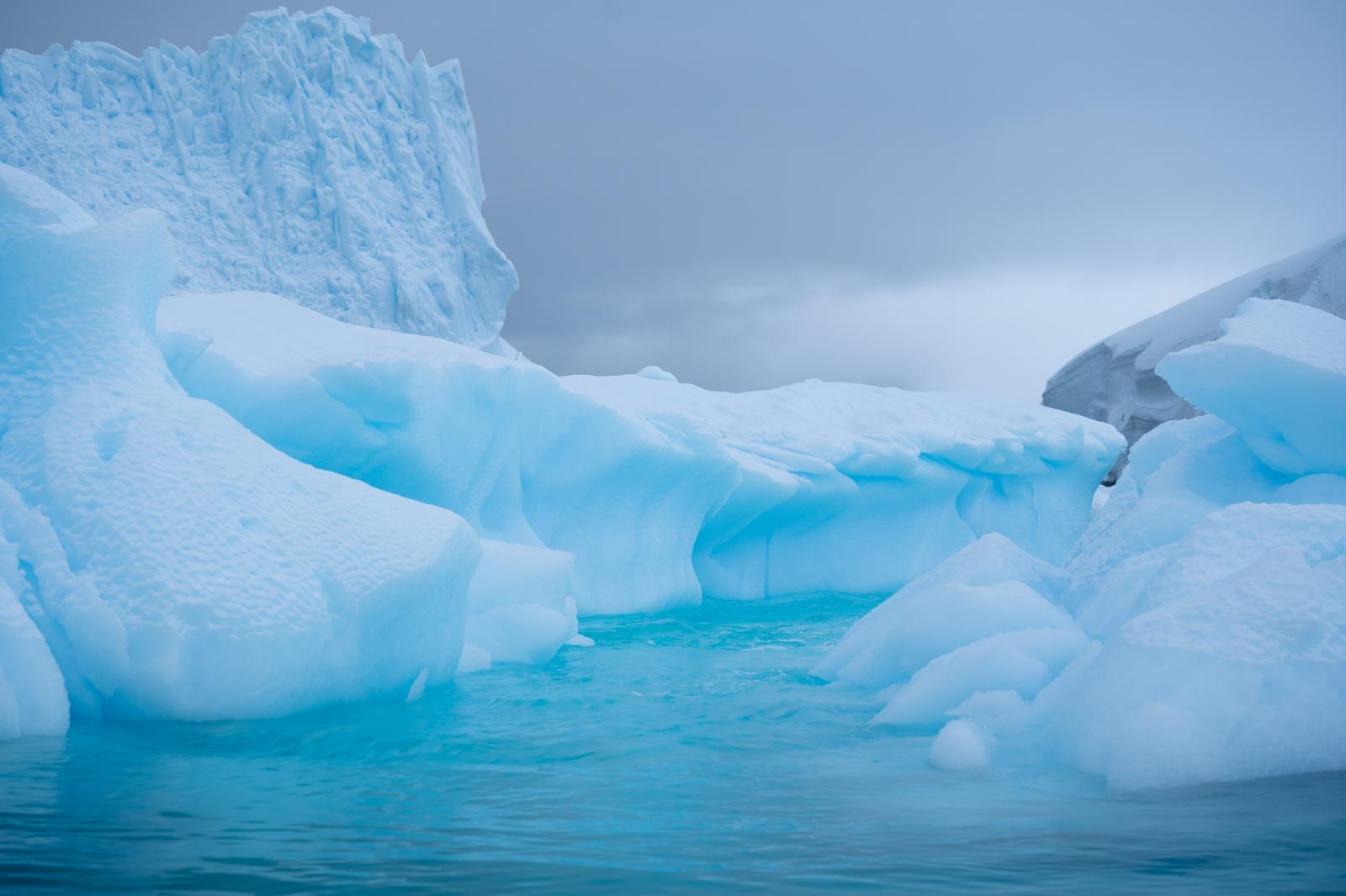 Can You Conquer All 7 Continents in This 30-Question Quiz? Antarctica