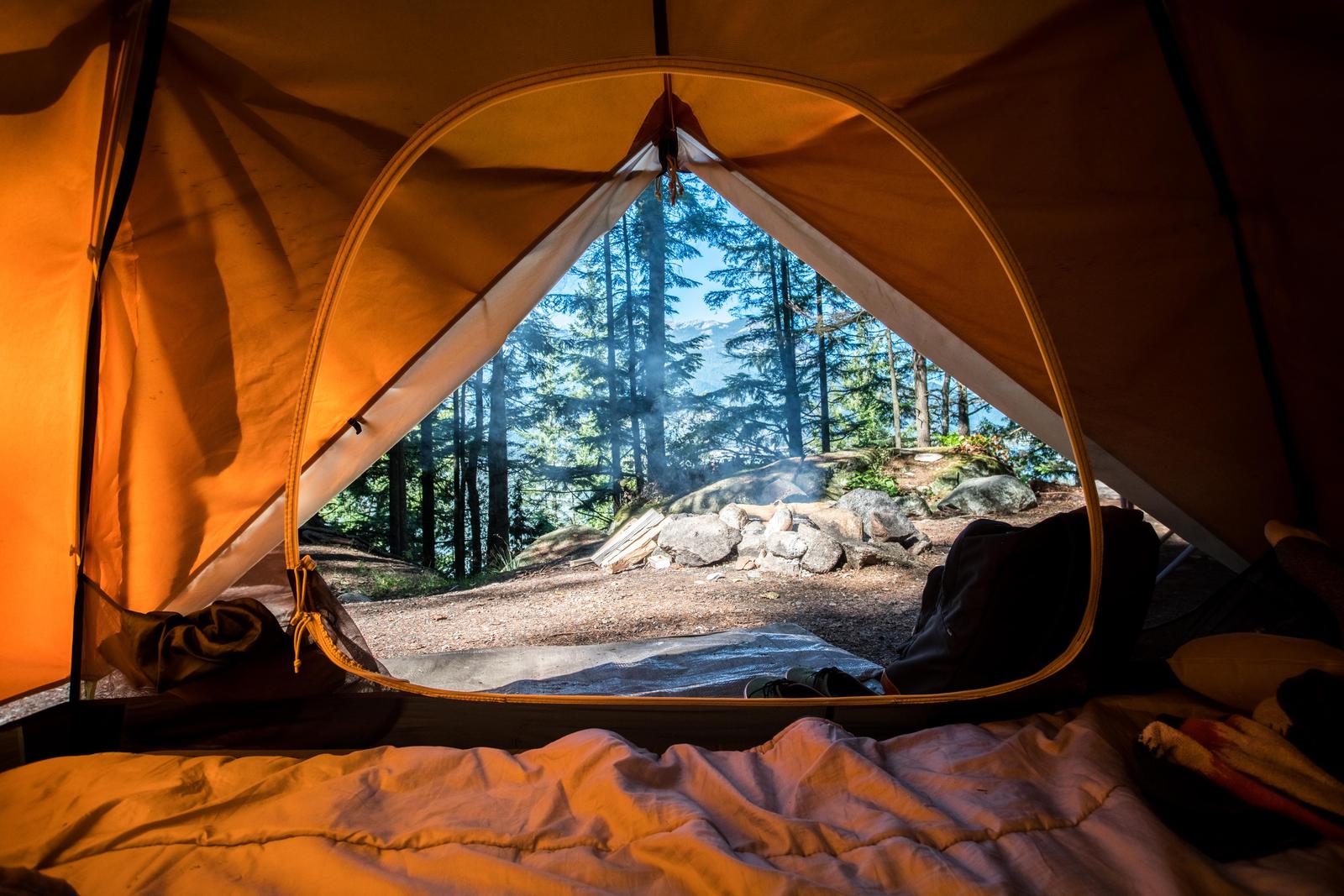 Spirit Animal Travel Quiz Camping gear campsite tent