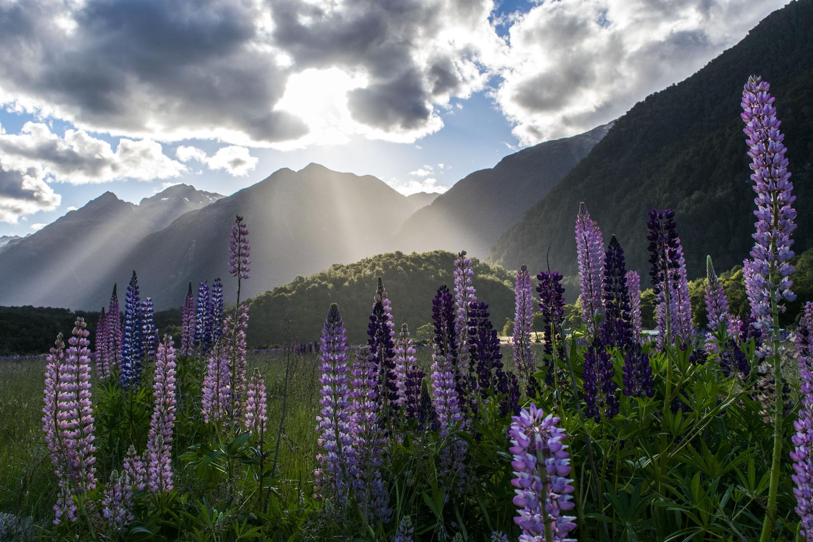 Here Are 24 Glorious Natural Attractions – Can You Match Them to Their Country? New Zealand
