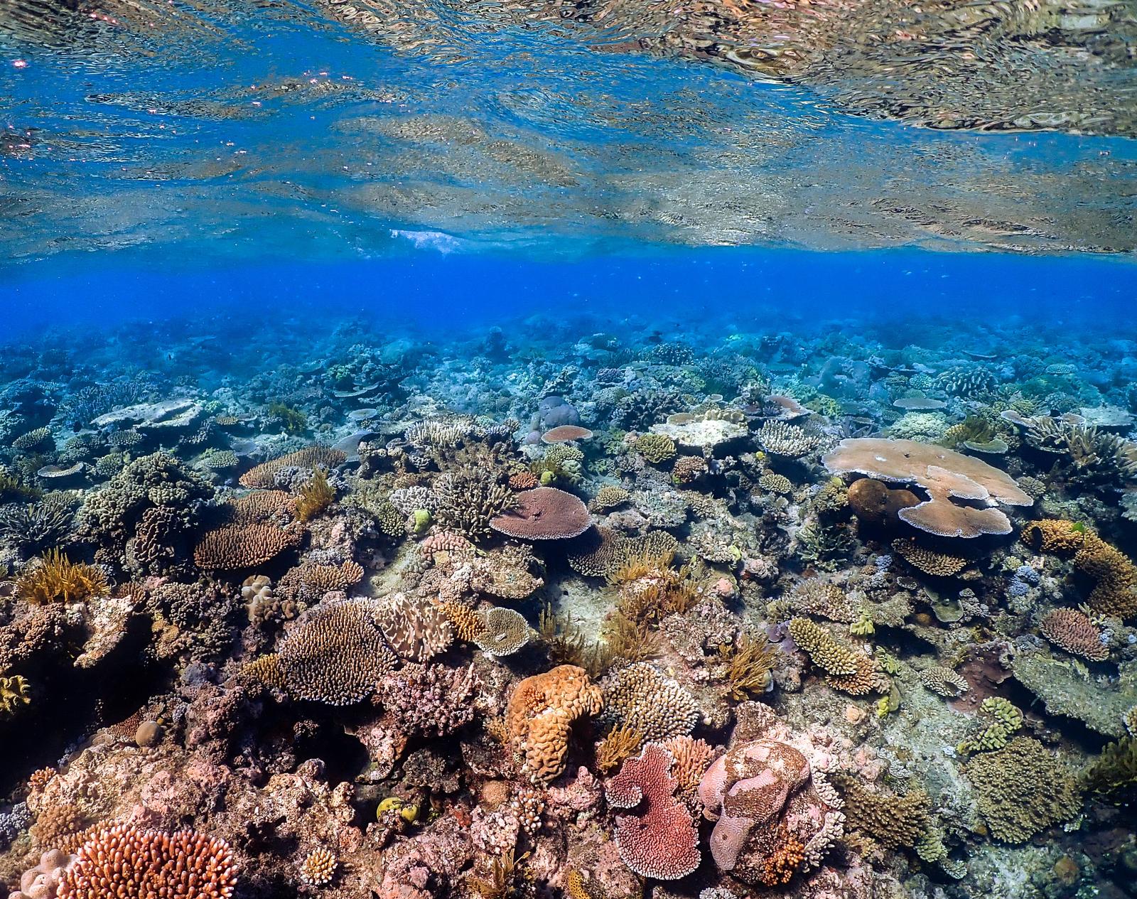 Here Are 24 Glorious Natural Attractions – Can You Match Them to Their Country? Great Barrier Reef
