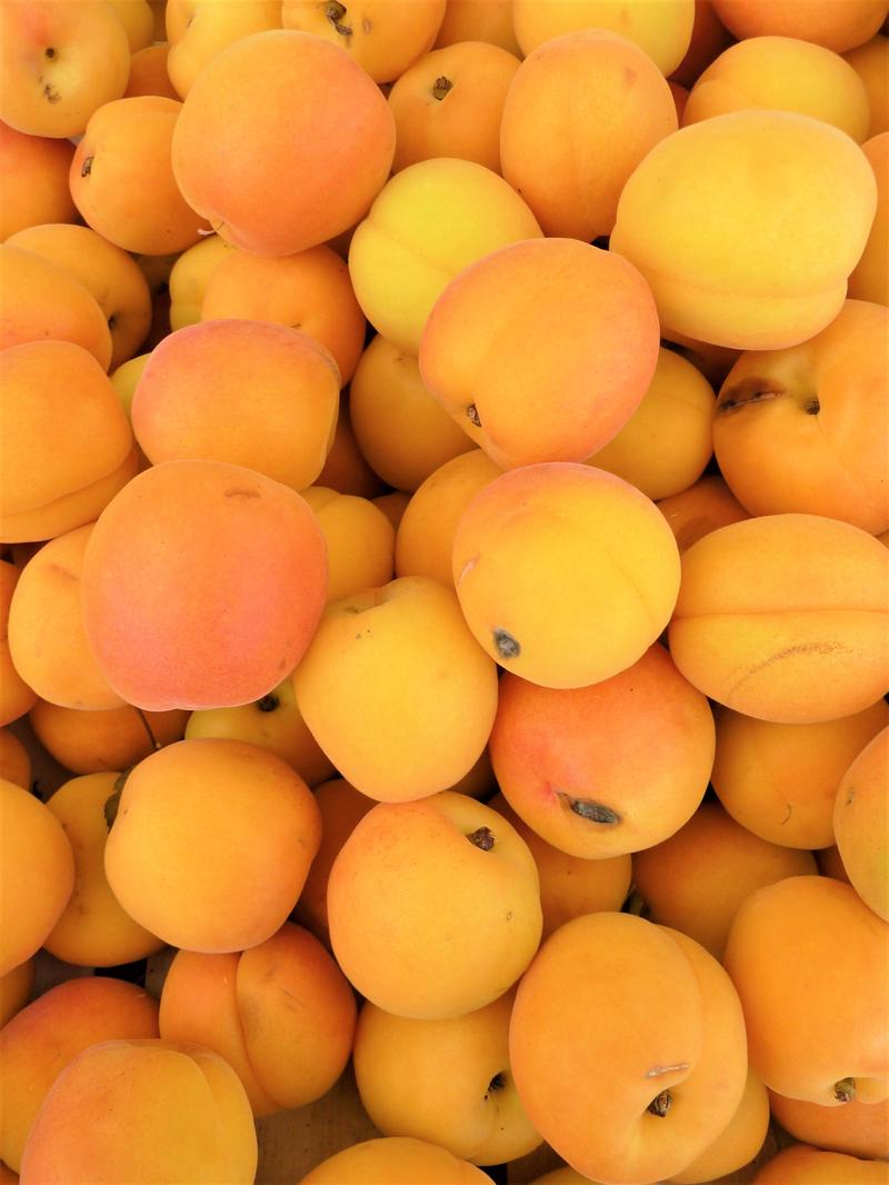 20 Trivia Questions & Answers From Brain Freeze To Big Easy Quiz Apricot