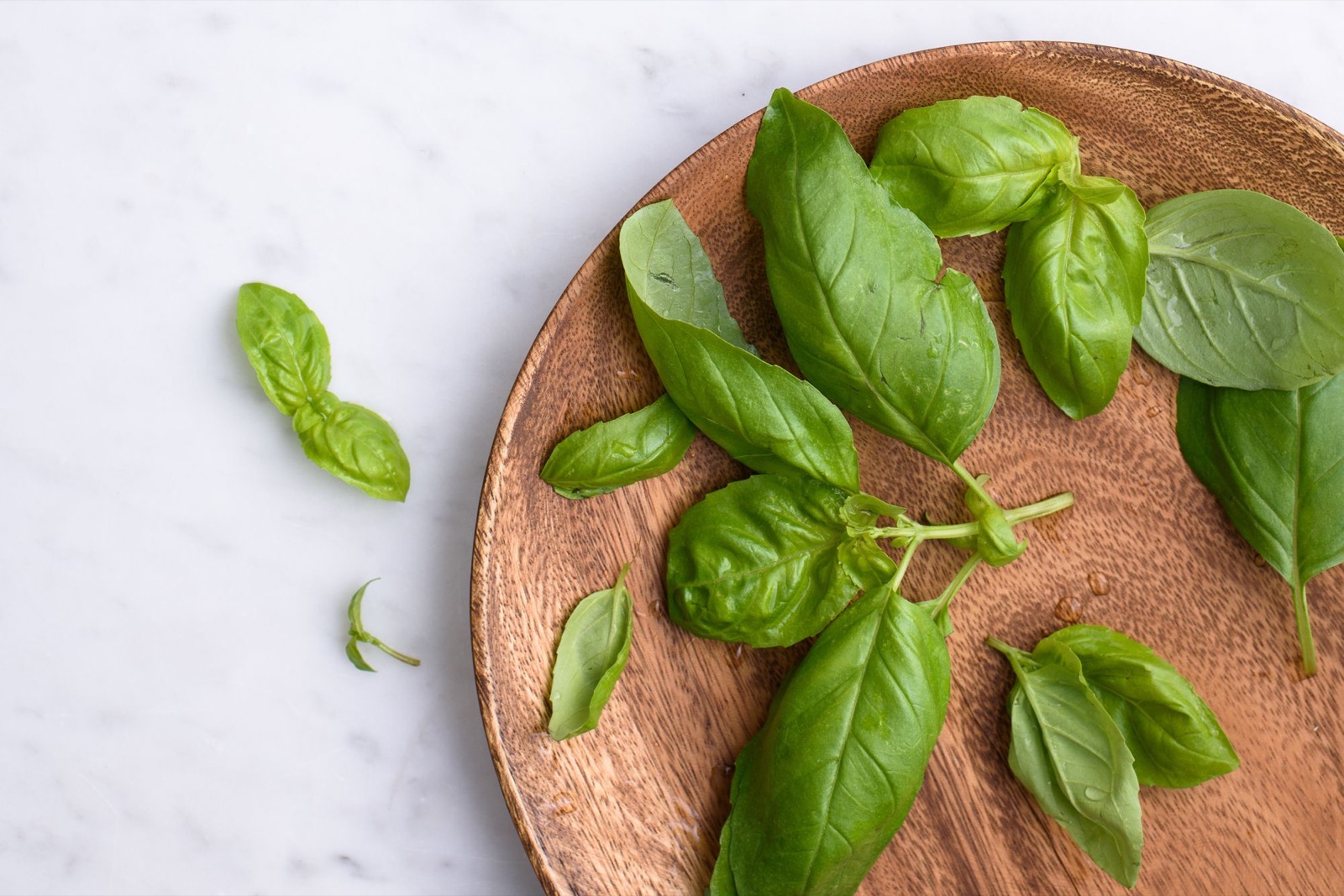 If You Are Food Pro, You Shouldn't Break Sweat Crushing This 25-Question Quiz Basil