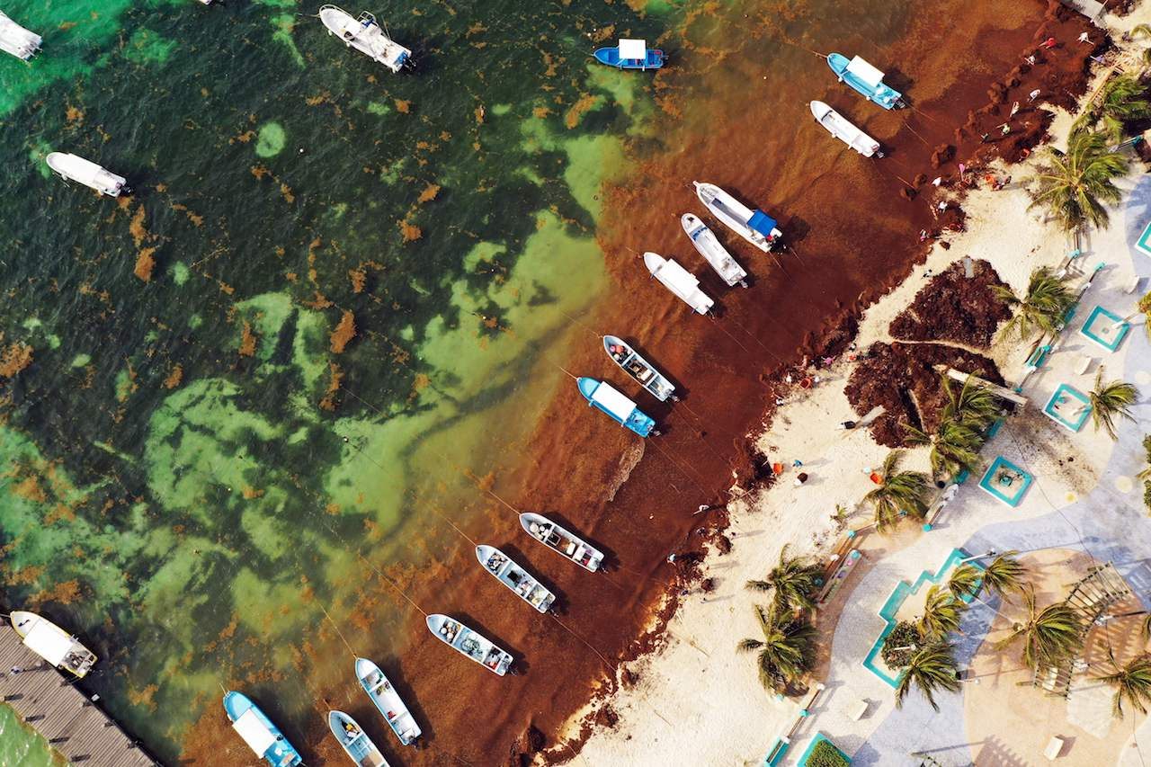 If You Get 14 On This Geography Quiz, You're Teacher's Pet Sargasso Sea