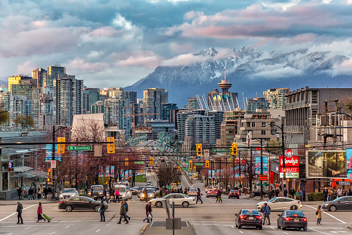 Plan Trip To Canada To Know Which Dog Breed Suits You B… Quiz Vancouver