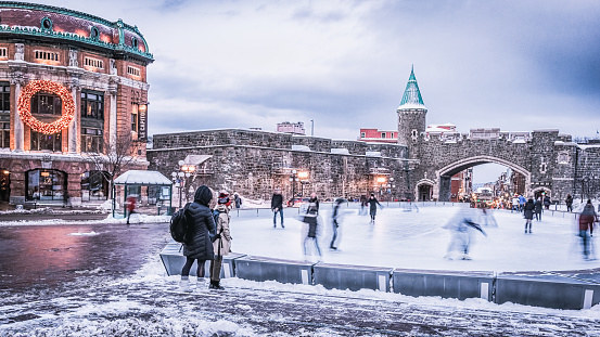 Plan a Trip to Canada and We’ll Reveal Which Dog Breed Suits You the Best Quebec City