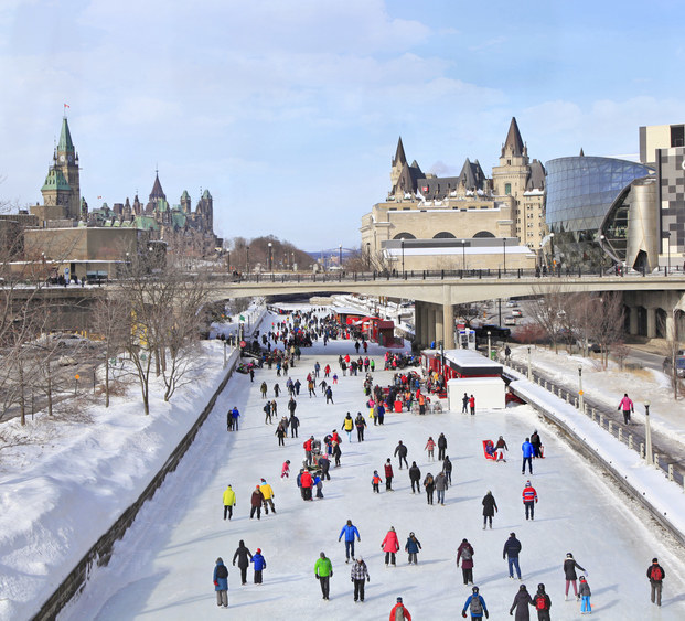 Plan Trip To Canada To Know Which Dog Breed Suits You B… Quiz Ottawa