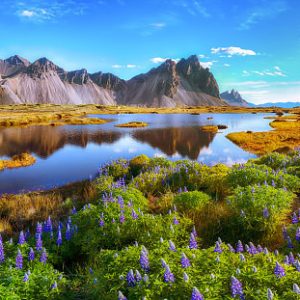 Getting Full Marks on This General Knowledge Quiz Is the Only Proof You Need to Show You’re the Intelligent Friend Iceland