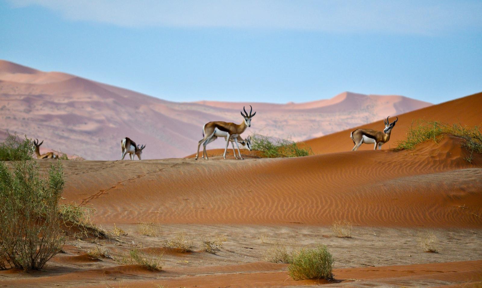 Mountains Quiz Namibia