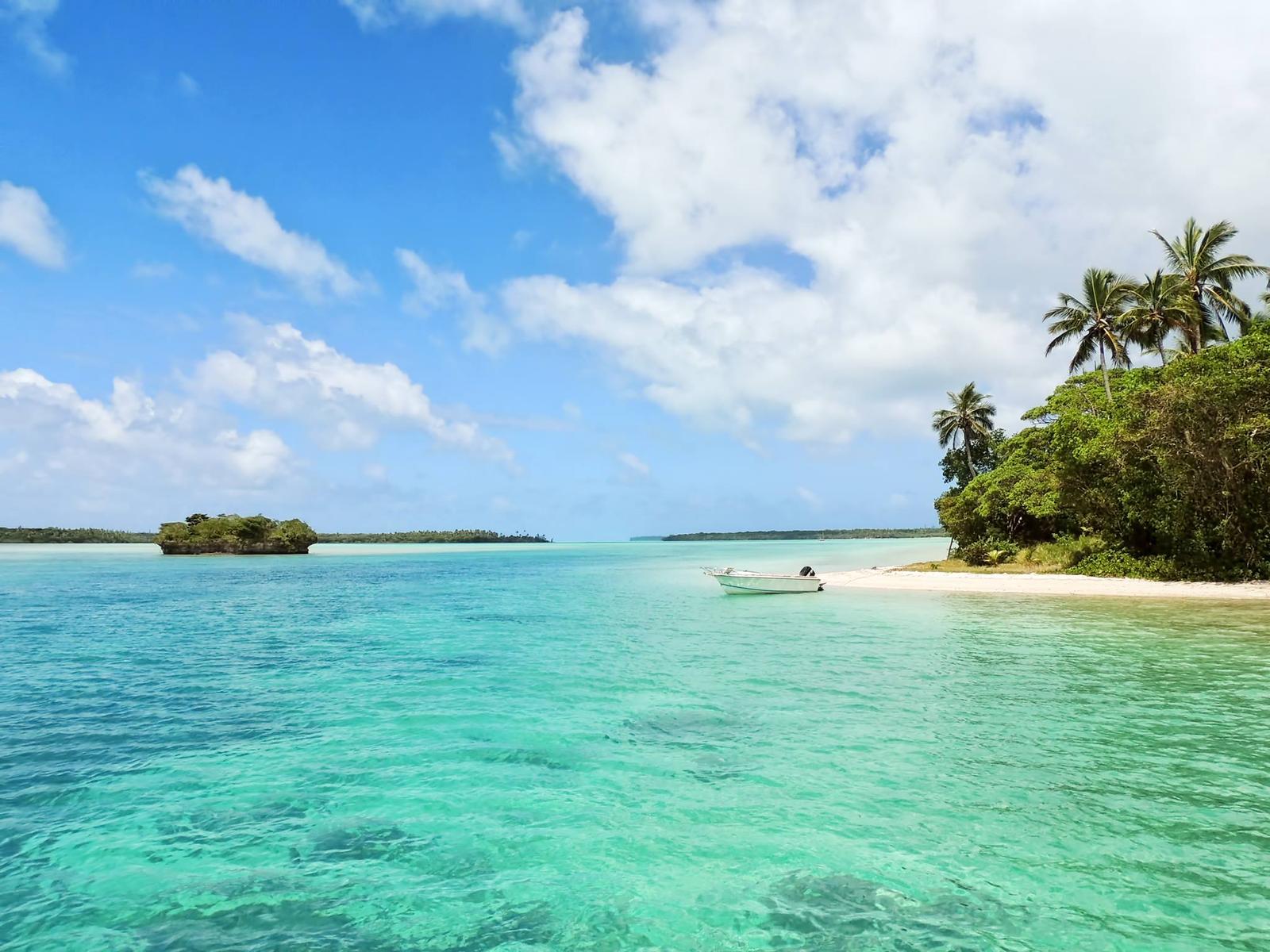 J Trivia Quiz Jamaica