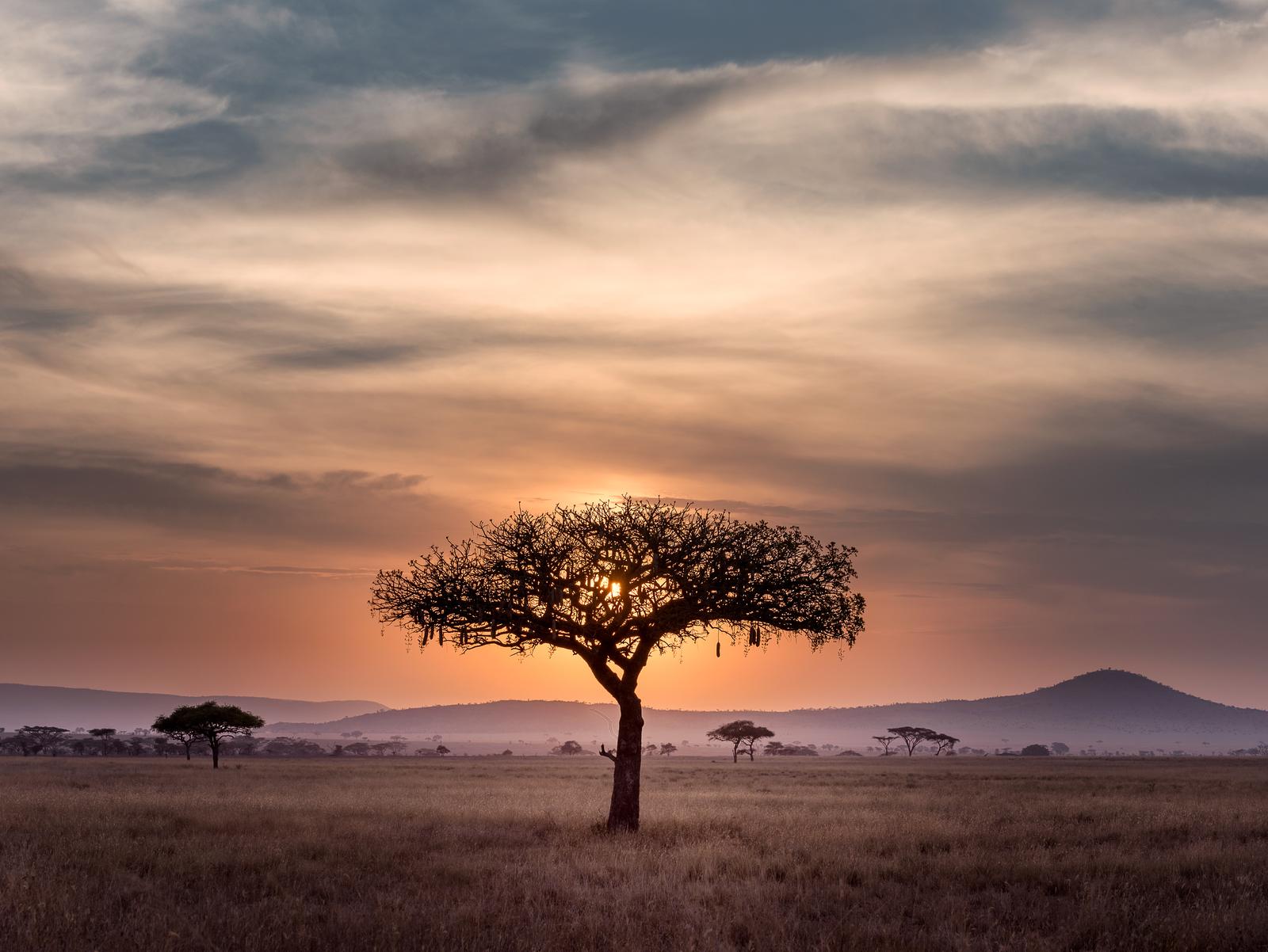 Are You a World Traveler? Test Your Knowledge by Matching These Majestic Natural Sites to Their Countries! Sunset at Serengeti National Park, Tanzania