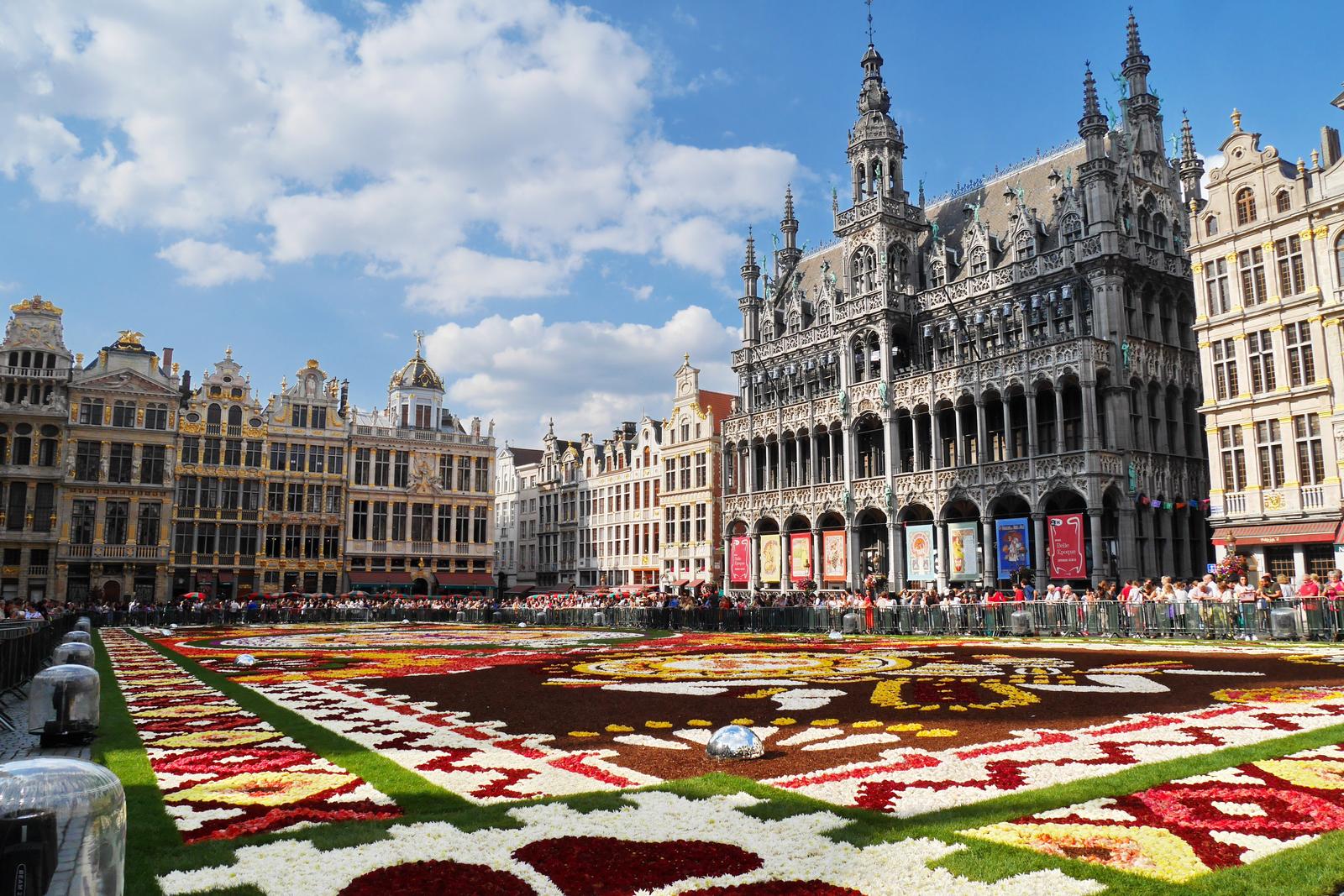 You’re Likely a 💡 Genius If You Find This 24-Question Geography Quiz Easy Brussels
