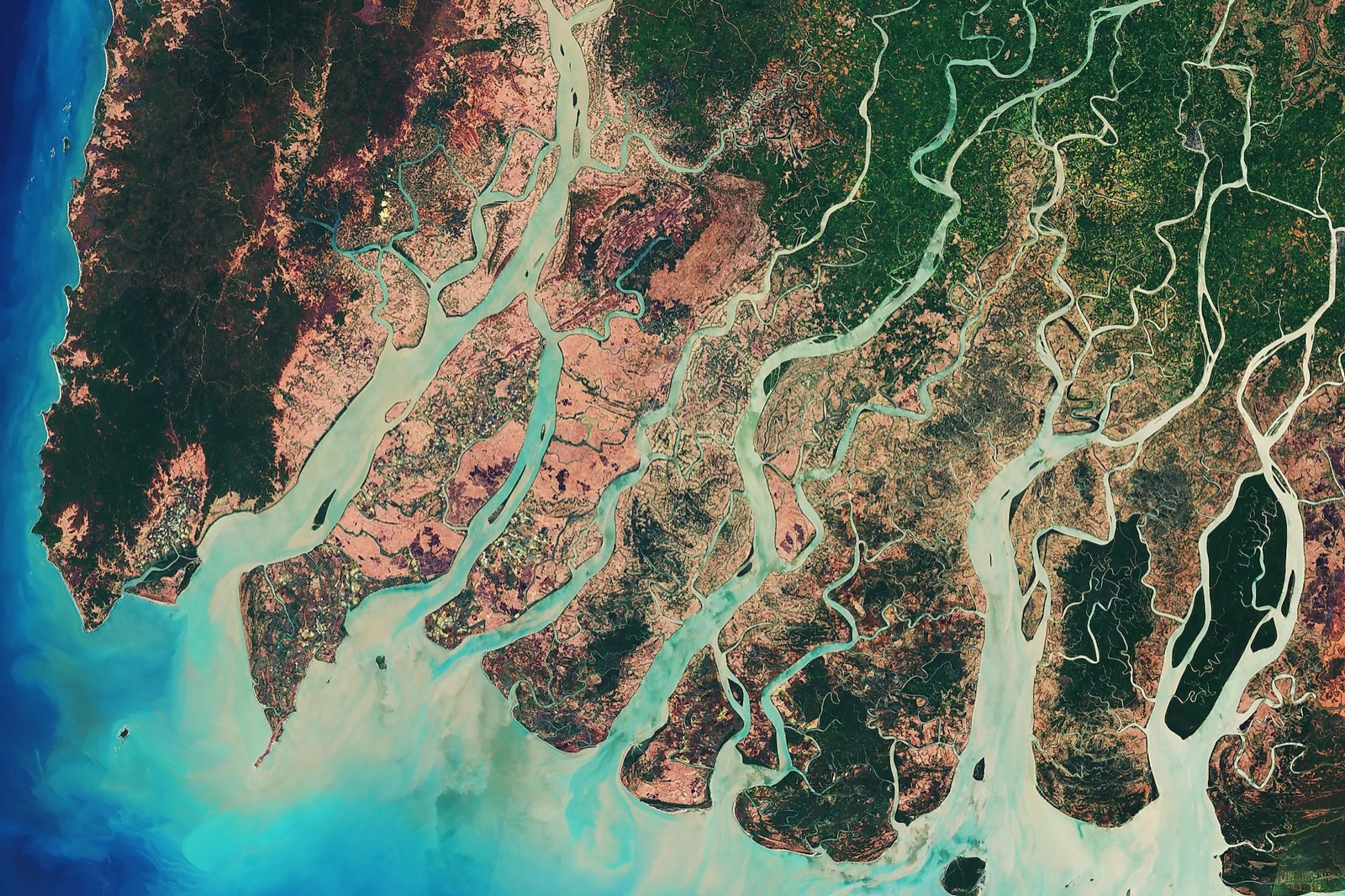If You Find This Geography Quiz Easy, Your Brain Is Actually Exceptionally Large Irrawaddy River Delta, Myanmar