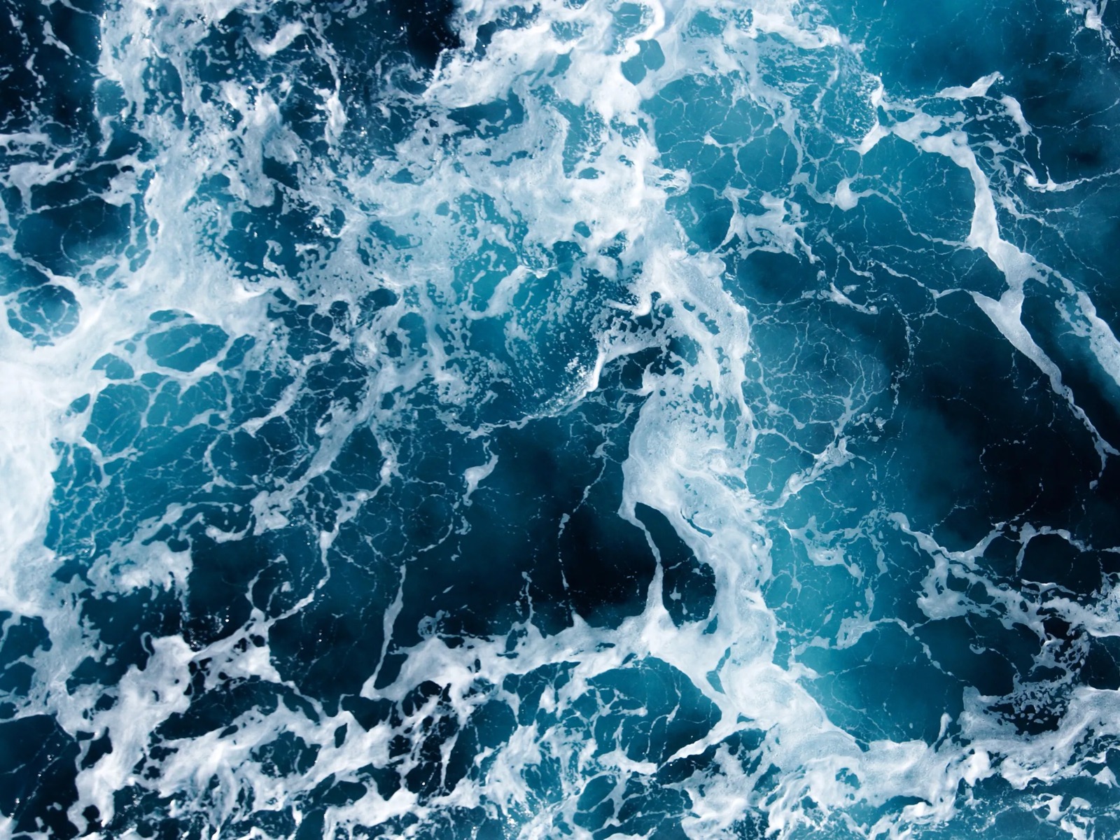 Ocean Or Sea Trivia Quiz Ocean