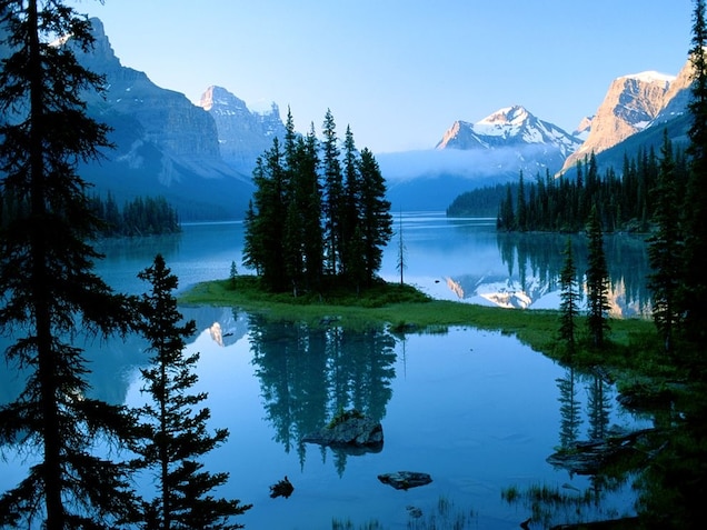 Plan Trip To Canada To Know Which Dog Breed Suits You B… Quiz Jasper National Park