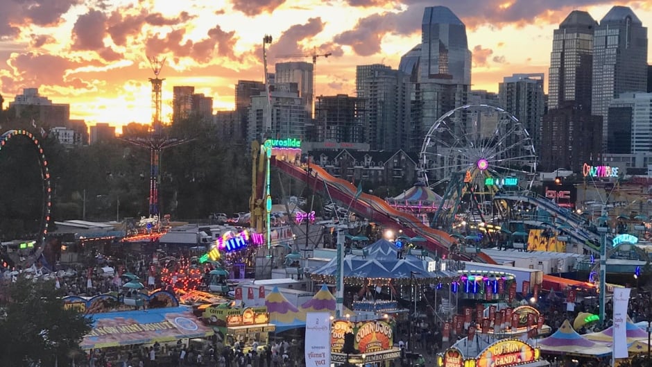 Plan Trip To Canada To Know Which Dog Breed Suits You B… Quiz The Calgary Stampede