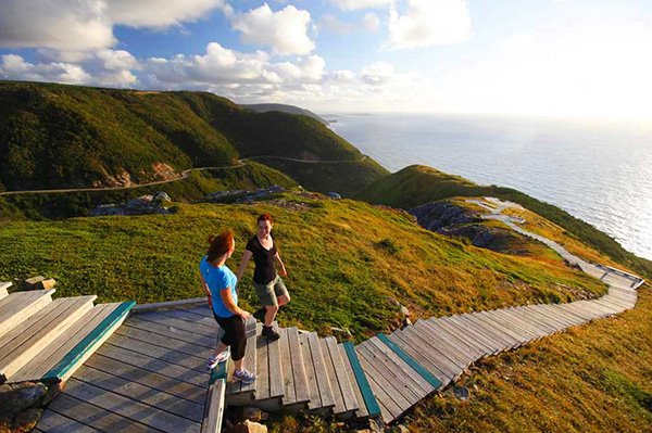 Plan a Trip to Canada and We’ll Reveal Which Dog Breed Suits You the Best Cabot Trail