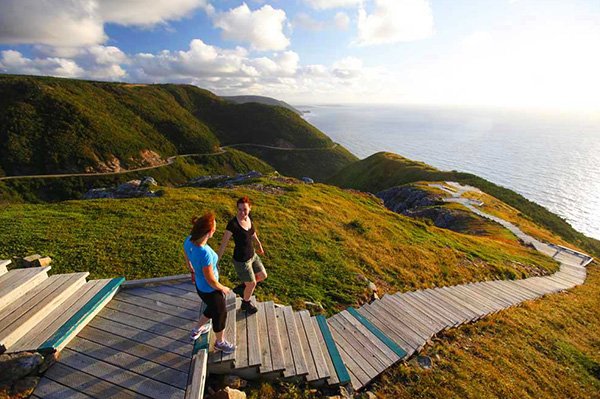 Plan Trip To Canada To Know Which Dog Breed Suits You B… Quiz Cabot Trail