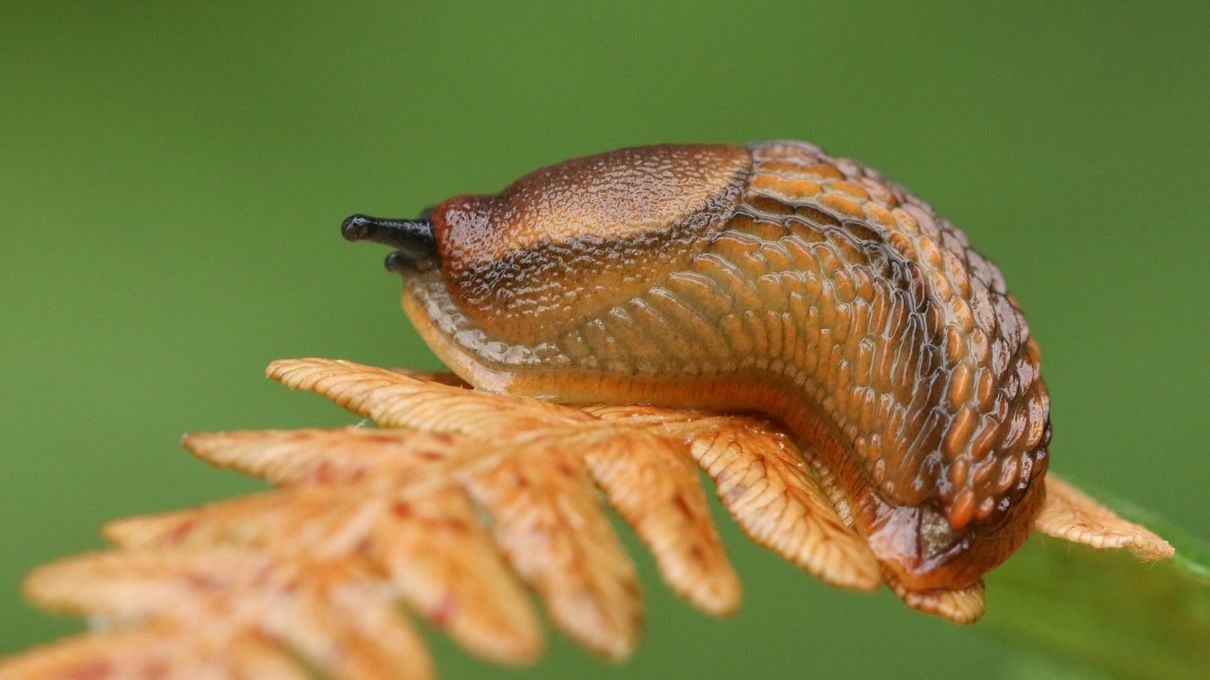 You're Undoubtedly Smart Friend If You Find This General Knowledge Quiz Too Easy Detritivore