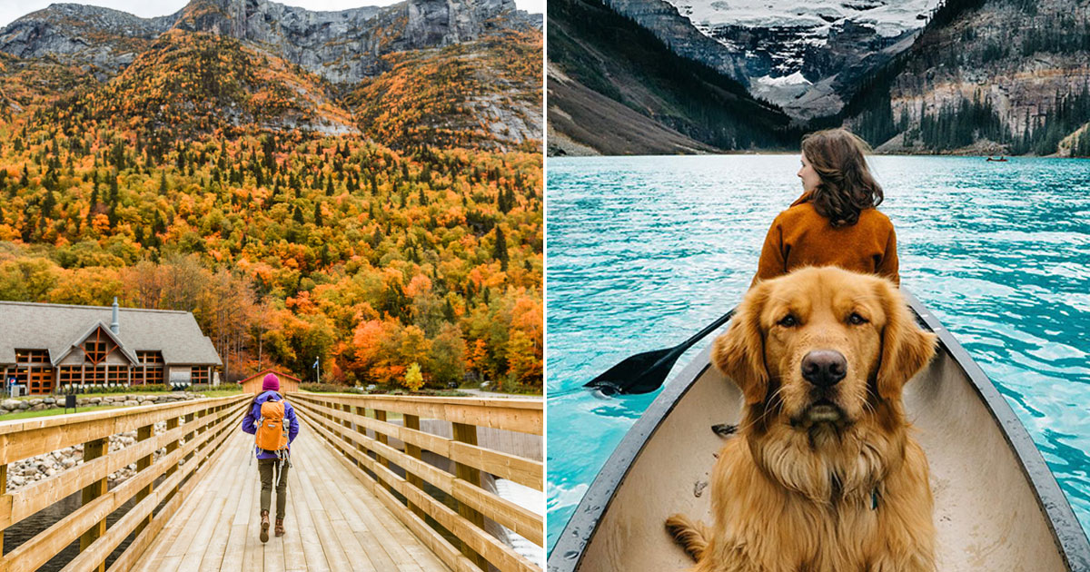 Plan a Trip to Canada and We’ll Reveal Which Dog Breed Suits You the Best