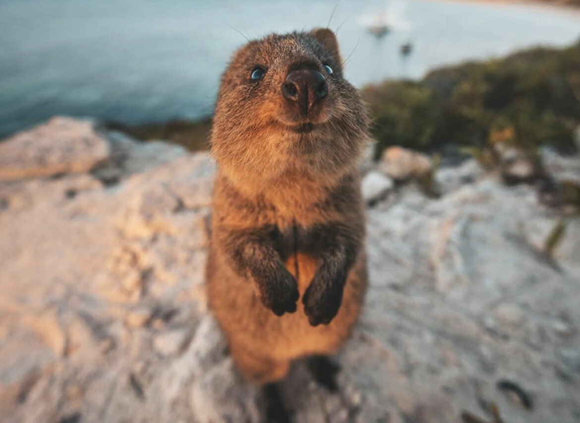 Make Yourself Proud By Passing This Geography Test Quokka