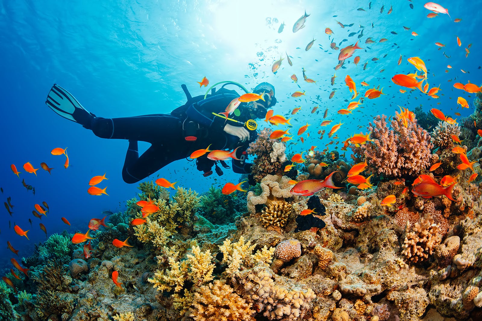 Plan Vacation in Thailand to Know Real Age Group You Be… Quiz Scuba diving