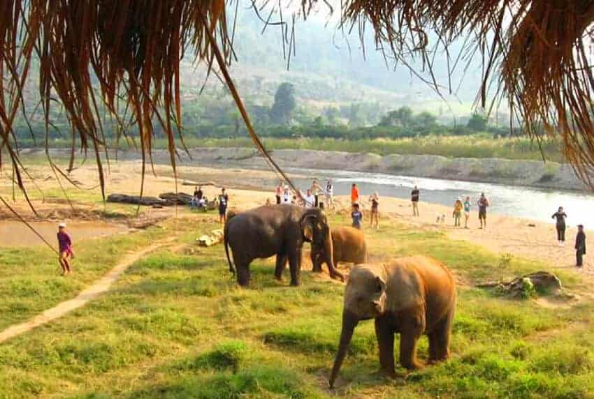 Plan Vacation In Thailand To Know Real Age Group You Be… Quiz It depends on how long it would take me to get there